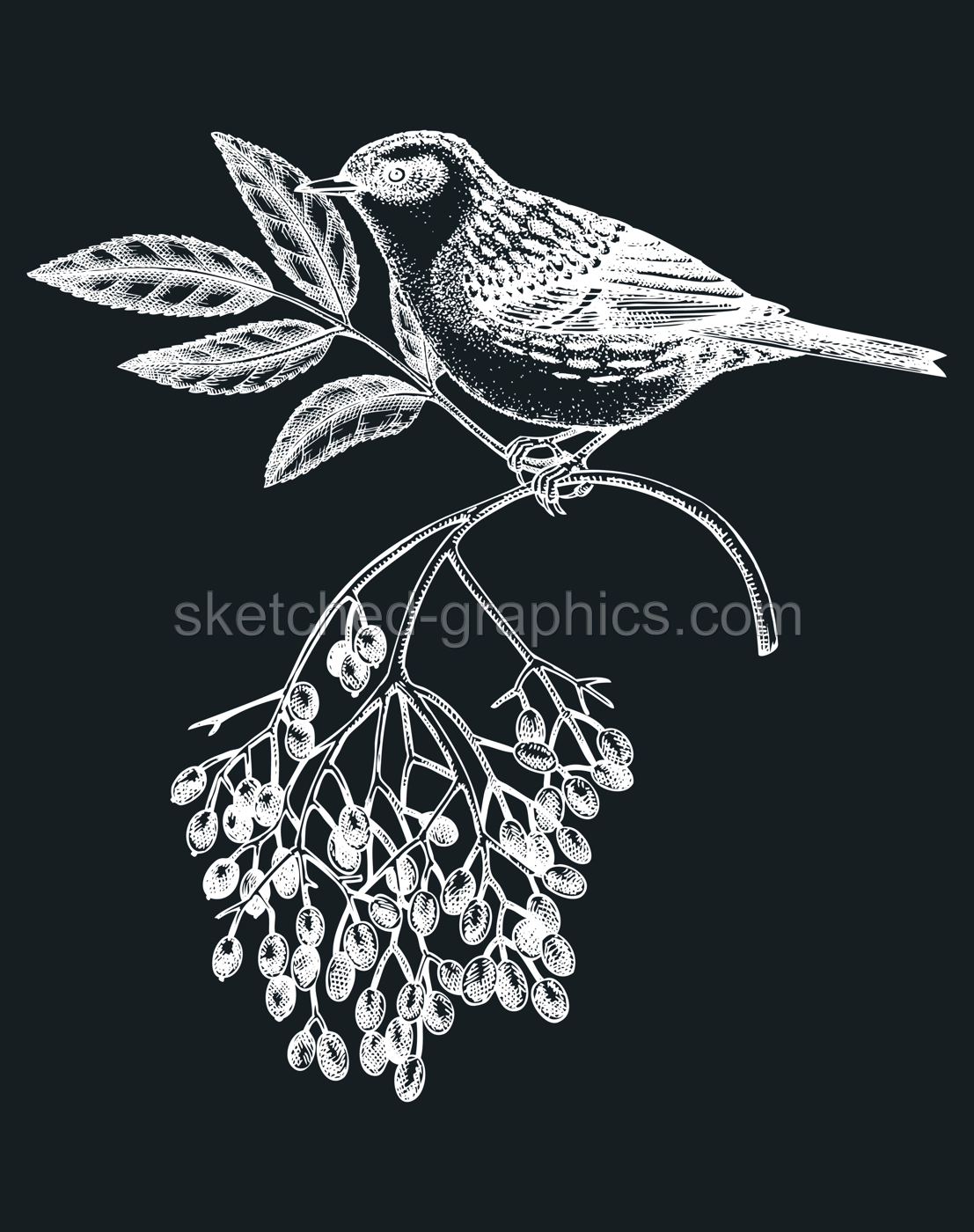 Hand-sketched bird with autumn flowers illustration on chalkboard. Fall design with birds, florals, geometric shapes, and abstract elements. Can be used for print, poster, wall art, social media Illustration